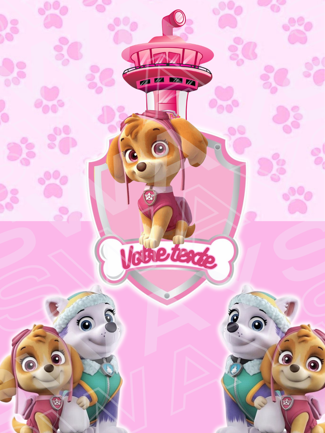Theme Pat Patrouille fille