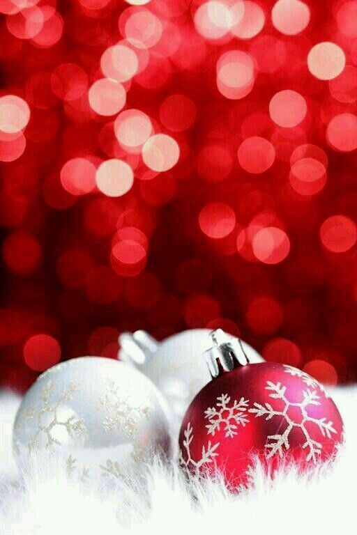 O'CHRISTMAS COLLECTION